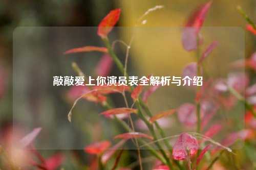 敲敲爱上你演员表全解析与介绍