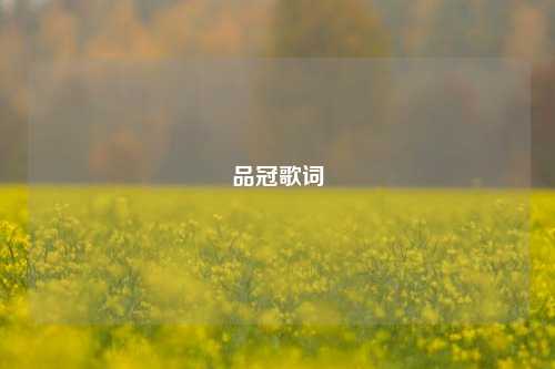 品冠歌词