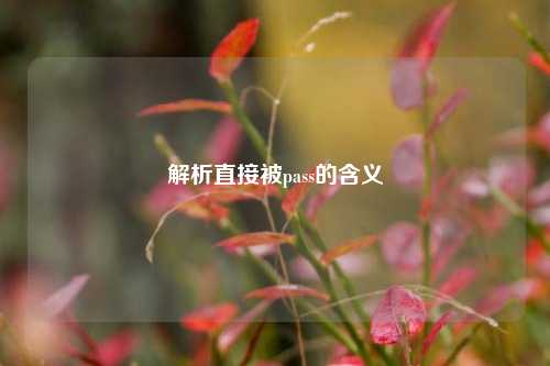 解析直接被pass的含义