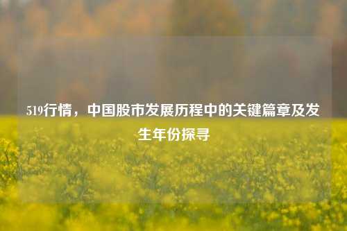 519行情，中国股市发展历程中的关键篇章及发生年份探寻