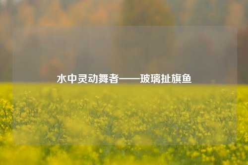水中灵动舞者——玻璃扯旗鱼