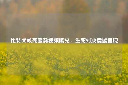 比特犬咬死藏獒视频曝光，生死对决震撼呈现