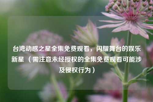 台湾动感之星全集免费观看，闪耀舞台的娱乐新星 （需注意未经授权的全集免费观看可能涉及侵权行为）