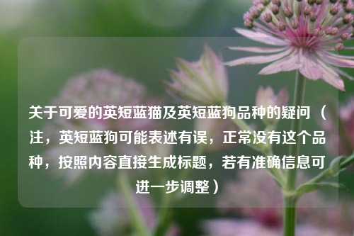关于可爱的英短蓝猫及英短蓝狗品种的疑问 （注，英短蓝狗可能表述有误，正常没有这个品种，按照内容直接生成标题，若有准确信息可进一步调整）