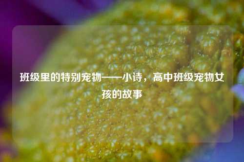 班级里的特别宠物——小诗，高中班级宠物女孩的故事