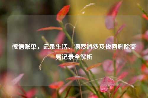 微信账单，记录生活、洞察消费及找回删除交易记录全解析