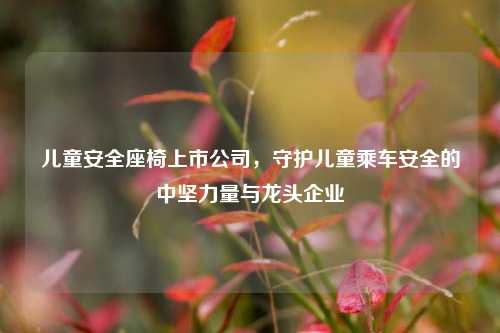儿童安全座椅上市公司，守护儿童乘车安全的中坚力量与龙头企业