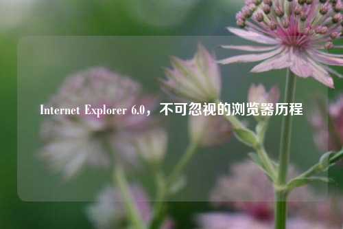 Internet Explorer 6.0，不可忽视的浏览器历程