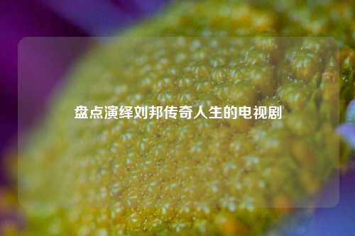 盘点演绎刘邦传奇人生的电视剧