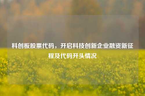 科创板股票代码，开启科技创新企业融资新征程及代码开头情况