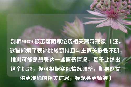 剖析MH370被击落阴谋论及相关离奇现象 （注，熊猫都疯了表述比较奇特且与主题关联性不明，推测可能是想表达一些离奇情况，基于此给出这个标题，你可根据实际情况调整，如果能提供更准确的相关信息，标题会更精准）