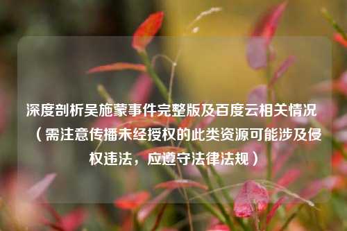 深度剖析吴施蒙事件完整版及百度云相关情况 （需注意传播未经授权的此类资源可能涉及侵权违法，应遵守法律法规）