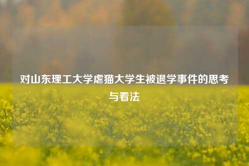 对山东理工大学虐猫大学生被退学事件的思考与看法