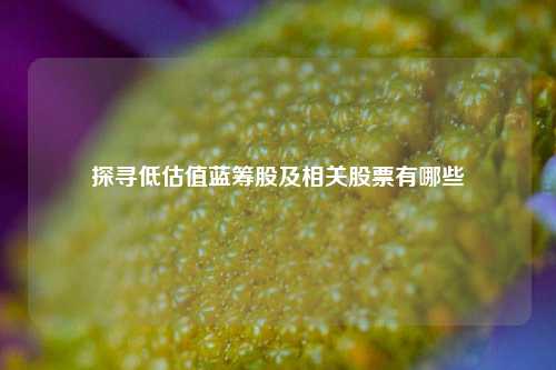 探寻低估值蓝筹股及相关股票有哪些