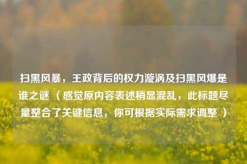 扫黑风暴，王政背后的权力漩涡及扫黑风爆是谁之谜 （感觉原内容表述稍显混乱，此标题尽量整合了关键信息，你可根据实际需求调整 ）