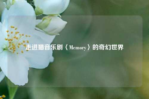 走进猫音乐剧〈Memory〉的奇幻世界
