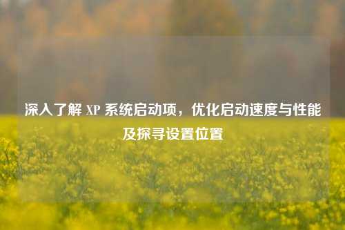 深入了解 XP 系统启动项，优化启动速度与性能及探寻设置位置