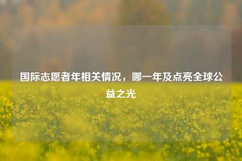 国际志愿者年相关情况，哪一年及点亮全球公益之光