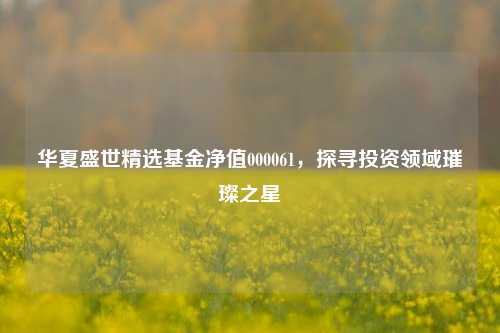华夏盛世精选基金净值000061，探寻投资领域璀璨之星