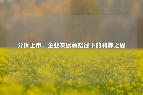 分拆上市，企业发展新路径下的利弊之思