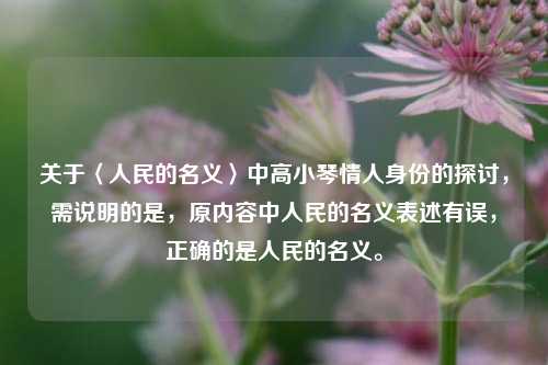 关于〈人民的名义〉中高小琴情人身份的探讨，需说明的是，原内容中人民的名义表述有误，正确的是人民的名义。