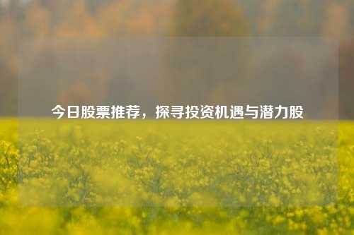 今日股票推荐，探寻投资机遇与潜力股