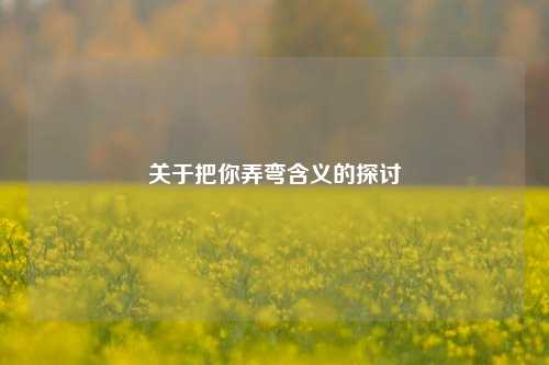 关于把你弄弯含义的探讨