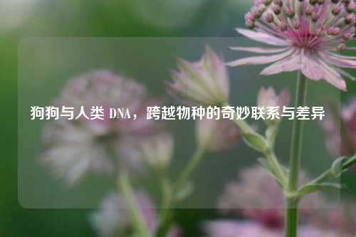狗狗与人类 DNA，跨越物种的奇妙联系与差异