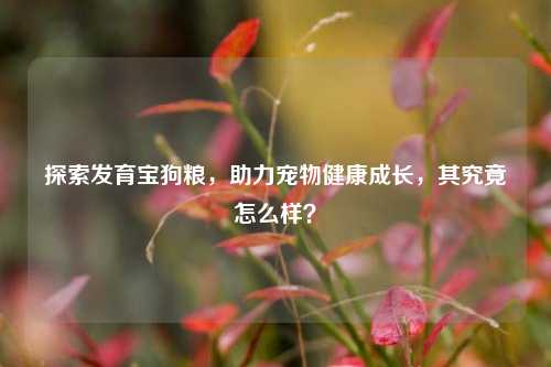 探索发育宝狗粮，助力宠物健康成长，其究竟怎么样？