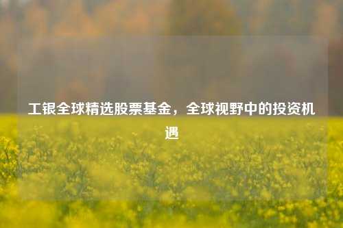 工银全球精选股票基金，全球视野中的投资机遇