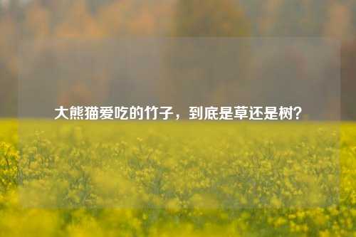 大熊猫爱吃的竹子，到底是草还是树？