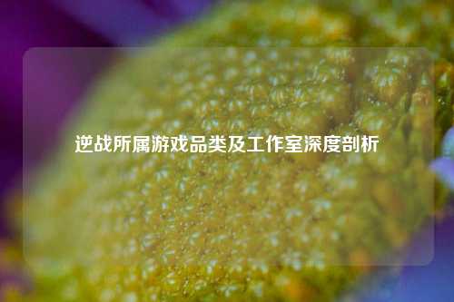 逆战所属游戏品类及工作室深度剖析