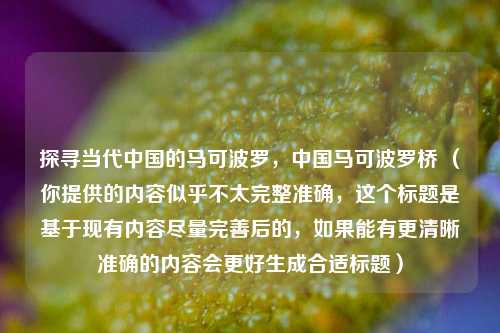探寻当代中国的马可波罗，中国马可波罗桥 （你提供的内容似乎不太完整准确，这个标题是基于现有内容尽量完善后的，如果能有更清晰准确的内容会更好生成合适标题）