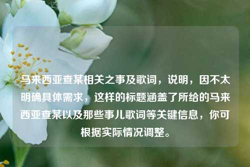 马来西亚查某相关之事及歌词，说明，因不太明确具体需求，这样的标题涵盖了所给的马来西亚查某以及那些事儿歌词等关键信息，你可根据实际情况调整。
