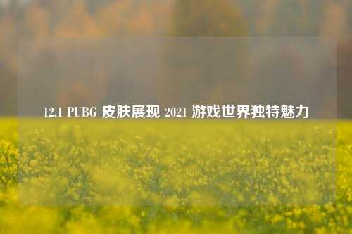 12.1 PUBG 皮肤展现 2021 游戏世界独特魅力