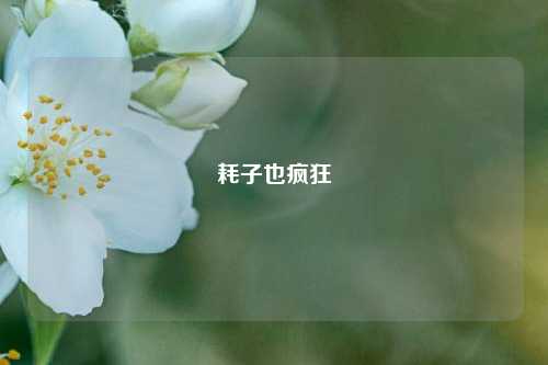 耗子也疯狂