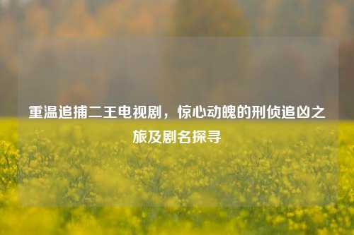 重温追捕二王电视剧，惊心动魄的刑侦追凶之旅及剧名探寻