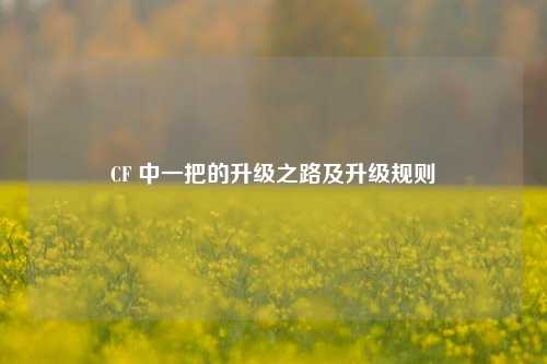 CF 中一把的升级之路及升级规则