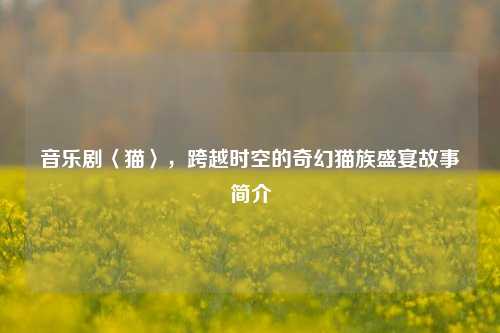 音乐剧〈猫〉，跨越时空的奇幻猫族盛宴故事简介