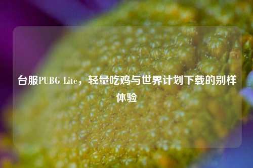 台服PUBG Lite，轻量吃鸡与世界计划下载的别样体验