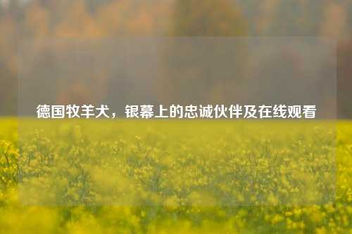 德国牧羊犬，银幕上的忠诚伙伴及在线观看
