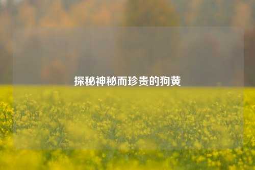 探秘神秘而珍贵的狗黄