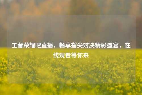王者荣耀吧直播，畅享指尖对决精彩盛宴，在线观看等你来