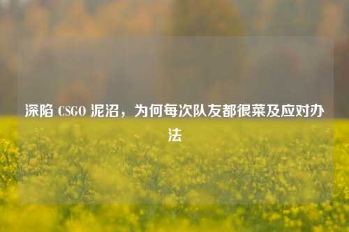 深陷 CSGO 泥沼，为何每次队友都很菜及应对办法