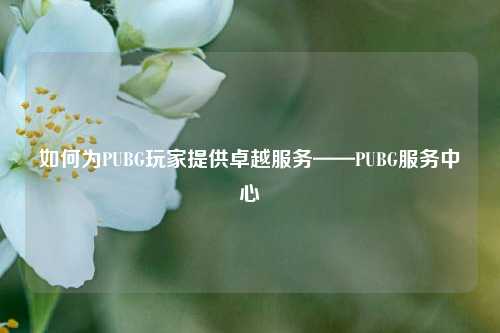 如何为PUBG玩家提供卓越服务——PUBG服务中心