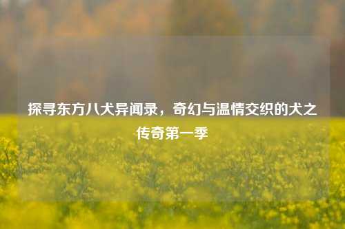 探寻东方八犬异闻录，奇幻与温情交织的犬之传奇第一季