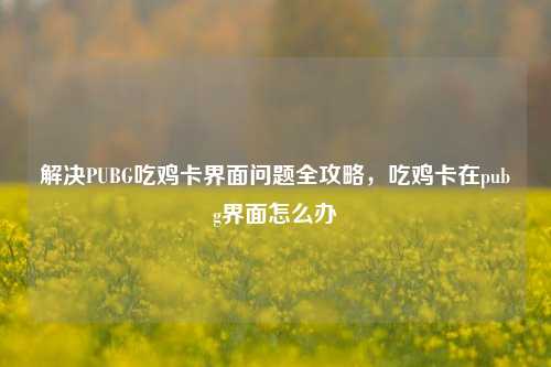 解决PUBG吃鸡卡界面问题全攻略，吃鸡卡在pubg界面怎么办