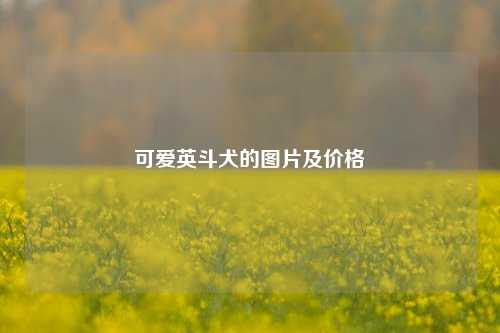 可爱英斗犬的图片及价格