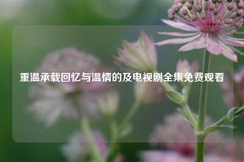 重温承载回忆与温情的及电视剧全集免费观看