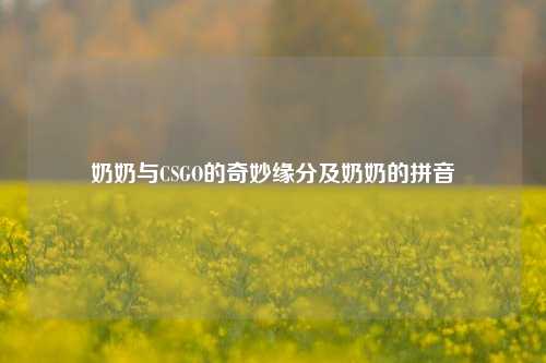 奶奶与CSGO的奇妙缘分及奶奶的拼音